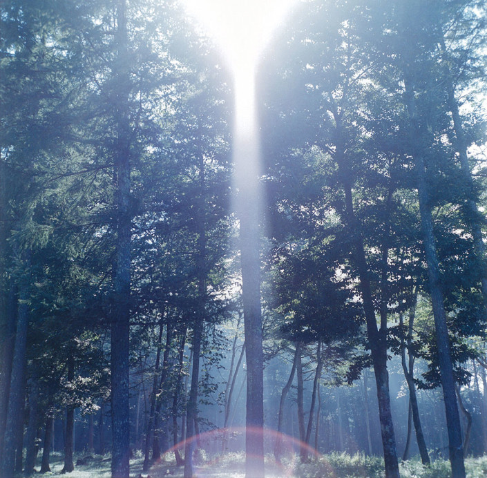 RINKO KAWAUCHI | Untitled, from the series "Iluminance", 2009 | c-print ed. of 6 available in size 30.5 x 25.4 cm and 101 x 101 cm