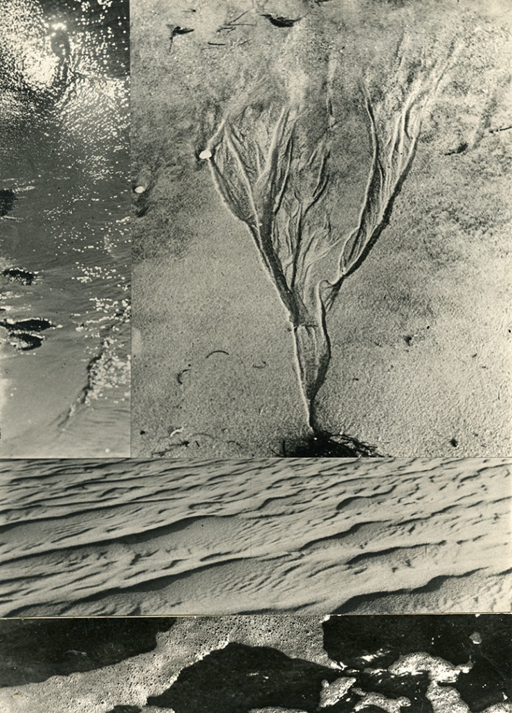 Elfriede Stegemeyer Artist Info Archives PRISKA PASQUER