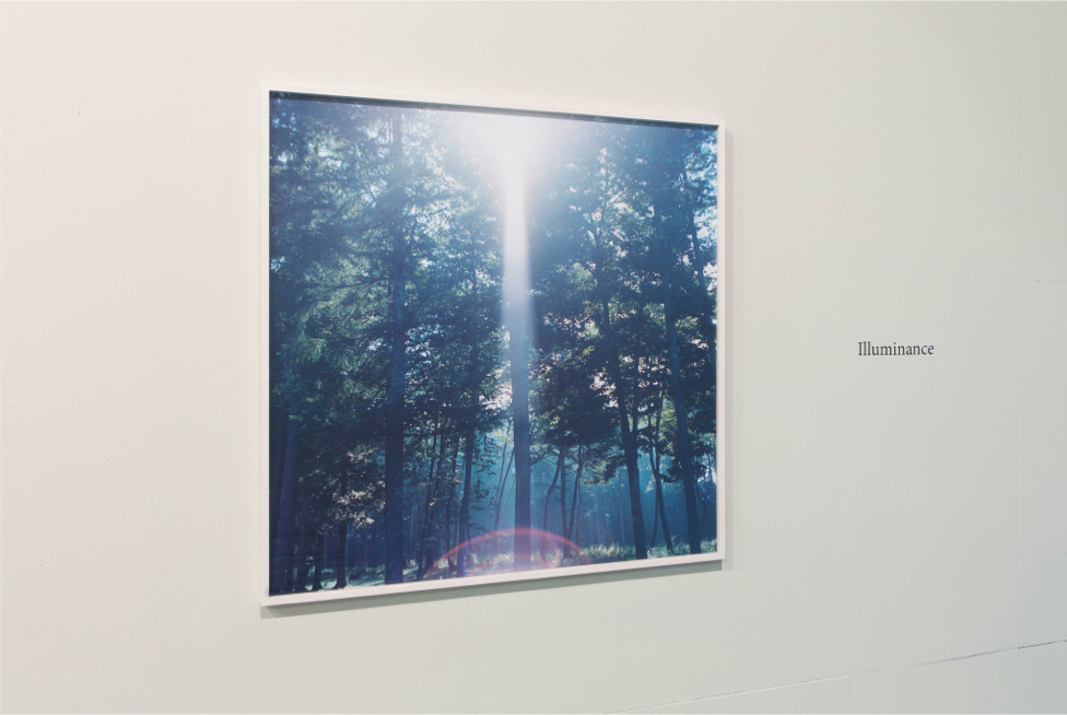 RINKO KAWAUCHI, FoMu Antwerp – PRISKA PASQUER