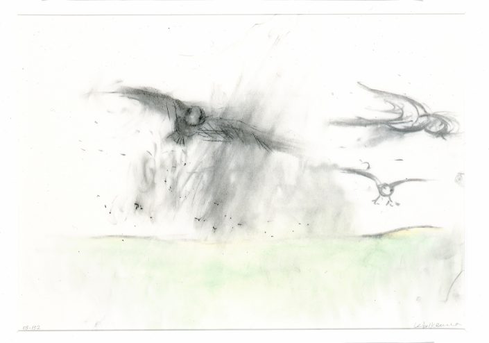 LEIKO IKEMURA | Birds. 2006 charcoal, pastel on transparent paper 29.70 x 42.00 cm